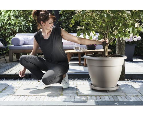 Femme accroupie à côté d''un pot de fleurs planté dans le jardin