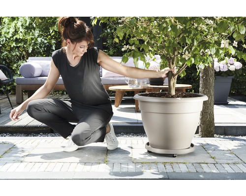 Femme accroupie à côté d''un grand pot de fleurs avec un arbre dans le jardin