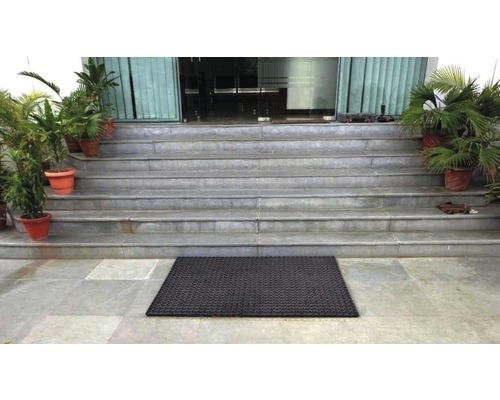 Eingangsbereich mit Treppe, Pflanzen und Fussmatte