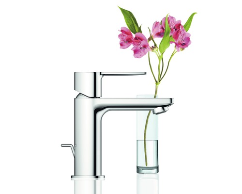 Robinet brillant pour lavabo avec vase de fleurs