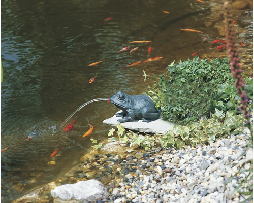 Teichszene mit Froschfigur und Wasserspeierfunktion, umgeben von Pflanzen und Fischen