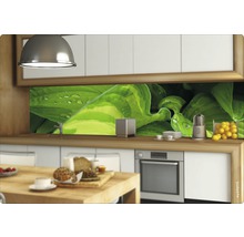 Scène de cuisine avec crédence à motif de plantes, ustensiles de cuisine et aliments sur un plan de travail.