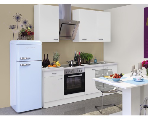 Flex Well Küchenzeile mit Geräten Wito 220 cm weiß matt zerlegt Variante reversibel