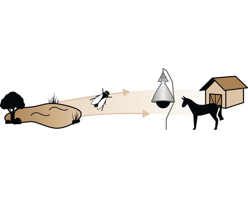 Piège à taons pour la lutte contre les insectes à la ferme