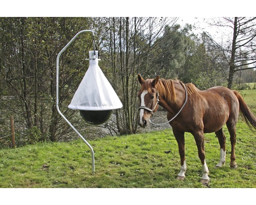 Piège à taons avec support dans un pré, avec un cheval à côté