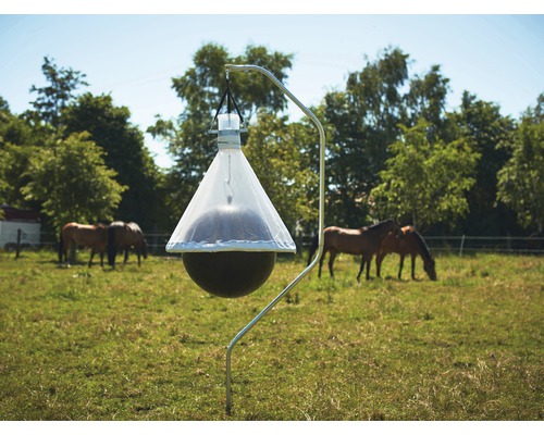 Piège à taons dans un champ avec des chevaux