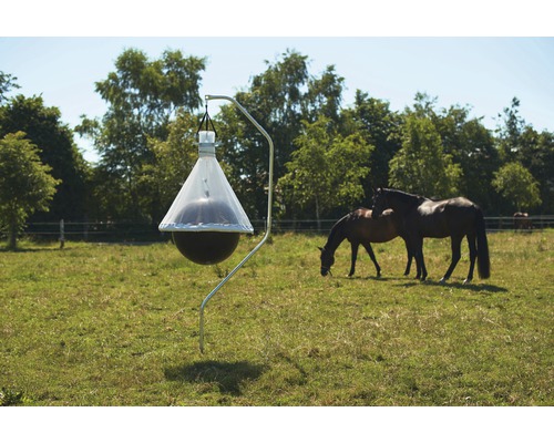 Piège à taons dans un pré avec des chevaux