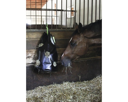 Cheval mange du foin dans un filet à foin dans une étable