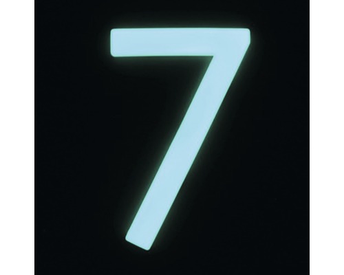 Leuchtende Hausnummer 7