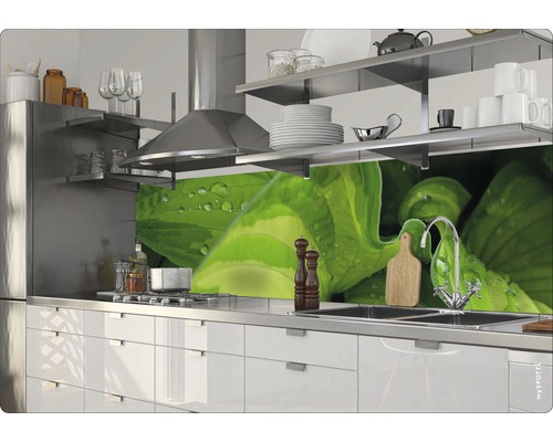 Scène de cuisine avec évier, plaque de cuisson, hotte aspirante et crédence avec motif végétal