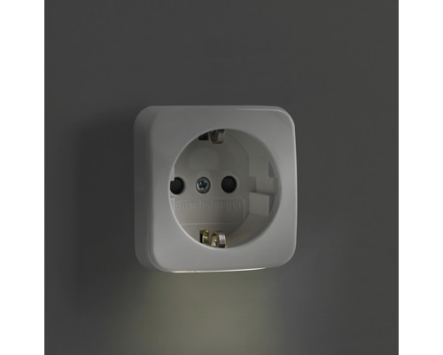 Steckdose von Busch-Jaeger