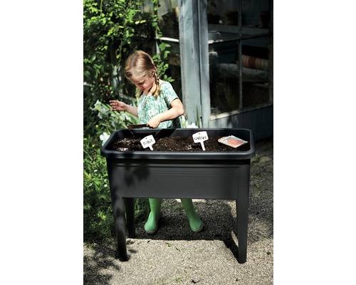 Ein Mädchen gärtnert in einem schwarzen Hochbeet im Garten und pflanzt Basilikum und Karotten.