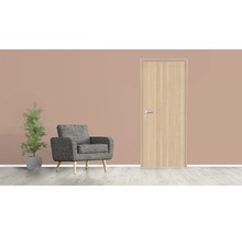 Innenraum mit Holztür, Sessel und Pflanze im Topf