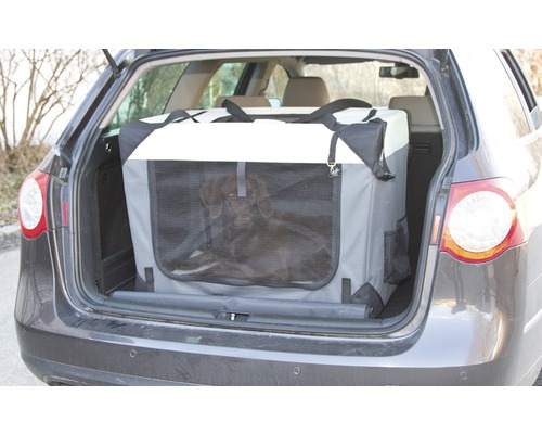 Chien dans une cage de transport dans le coffre d''une voiture
