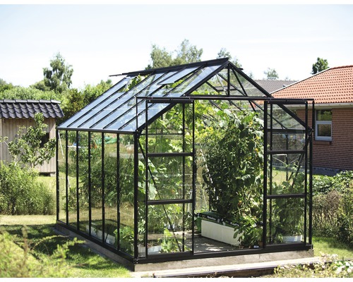 Gewächshaus Vitavia Uranus 9900 Einscheibensicherheitsglas 3 mm 257x383 cm schwarz