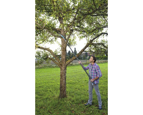 Un homme coupe un arbre avec une ébrancheuse à manche dans un jardin.