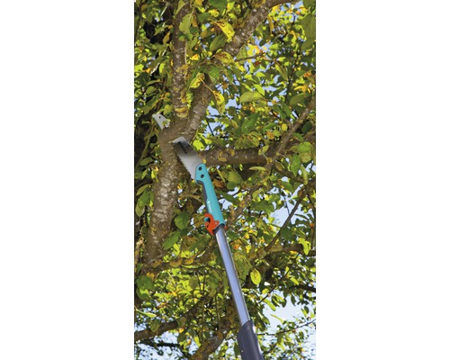 Scie de jardin avec manche télescopique coupant une branche d''arbre.