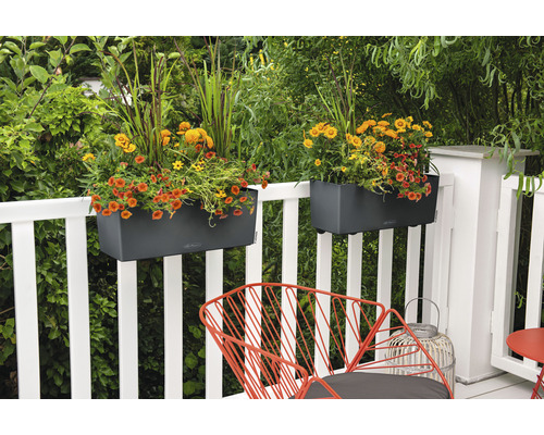 Balkonszene mit zwei Blumenkästen an einem weißen Geländer und einem roten Stuhl