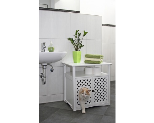 Salle de bains avec meuble sous-lavabo, plante, serviettes et chat