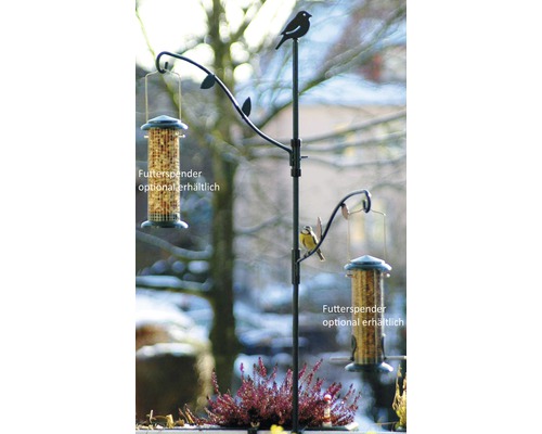 Maison pour oiseaux avec deux distributeurs de nourriture disponibles en option et oiseau