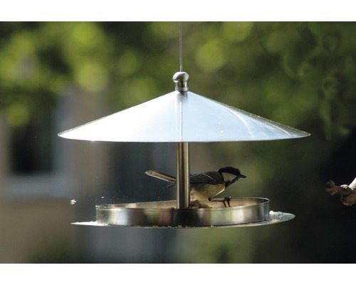 Oiseau mangeant dans une mangeoire à oiseaux suspendue en métal