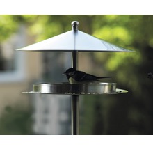 Vogel auf Vogelhaus aus Metall