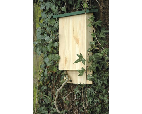 Nichoir à chauves-souris en bois sur un arbre