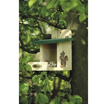 Mangeoire en bois pour écureuils dans un arbre avec le logo Debar
