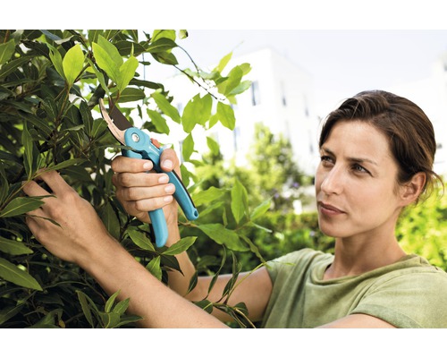 Femme coupant des feuilles avec un sécateur