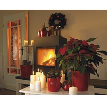 Décoration de Noël avec cheminée, couronne de l''Avent et poinsettias dans des cache-pots rouges