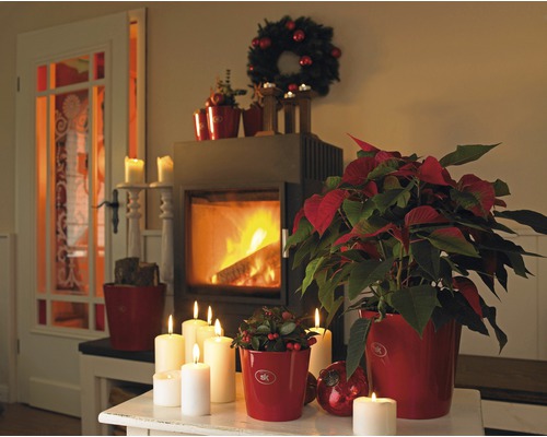 Décoration de Noël avec cheminée, couronne de l''Avent et poinsettias dans des cache-pots rouges