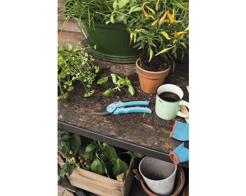 Gartenszene mit Kräutern, Pflanzgefäßen, Gartenschere und Gartenhandschuhen auf einem Gartentisch.