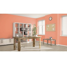 Büro mit Schreibtisch, Bürostuhl, Regal und Fenster