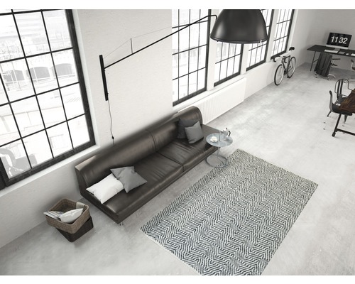 Salon avec canapé, tapis et bureau