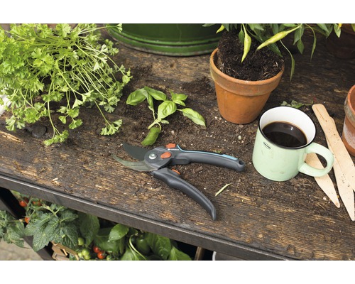 Gartenschere, Kräuter, Kaffeetasse und Blumentöpfe auf einem Gartentisch.