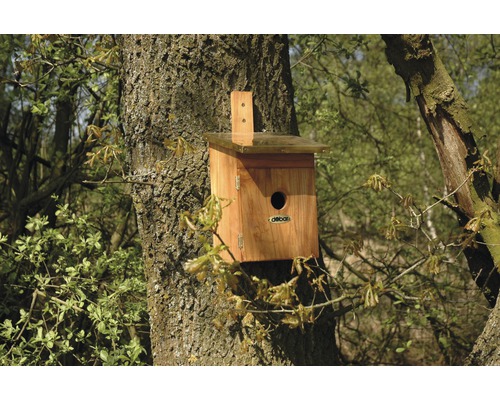 Nichoir en bois sur un arbre