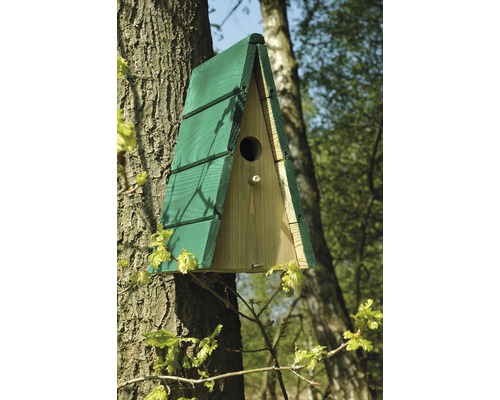 Nichoir avec toit vert fixé à un arbre