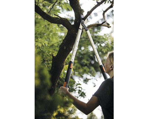Femme coupe des branches d''arbre avec un ébrancheur à crémaillère