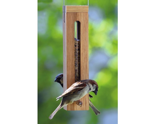 Mangeoire à oiseaux en bois avec deux moineaux