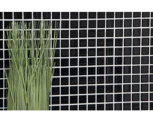 Halmes décoratifs sur fond de mosaïque noire