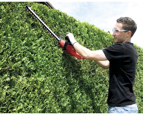 Eine Person schneidet eine Hecke mit einer Heckenschere.