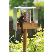 Maison pour oiseaux avec nourriture et un moineau