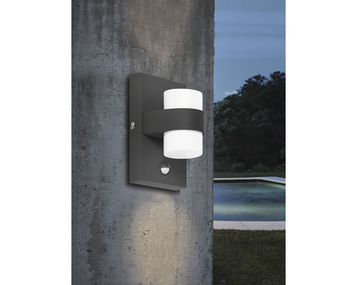 Applique murale d'extérieur applique murale LED avec détecteur de mouvement  lampe de façade, boule de verre fumée en acier inoxydable anthracite, 7W  806lm blanc chaud, LxPxH 26,5x25x37 cm