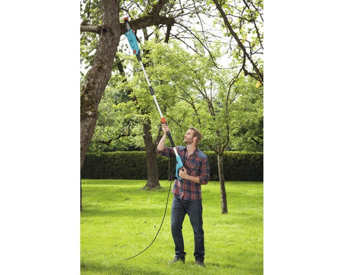 Mann schneidet Baum mit einer Hochentaster im Garten