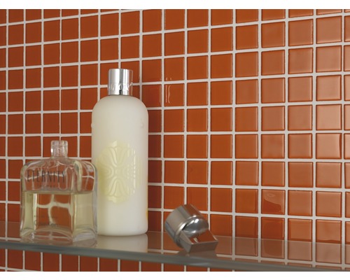 Mosaïque dans une salle de bain avec des produits de toilette sur une étagère en verre