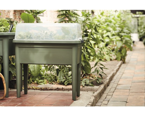 Jardinière surélevée avec couvercle transparent dans le jardin