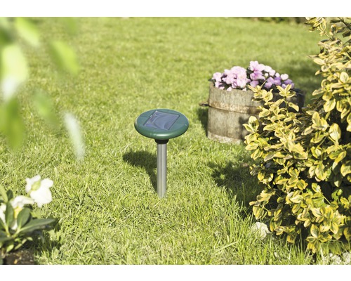 Maulwurfschreck mit Solarpanel im Rasen