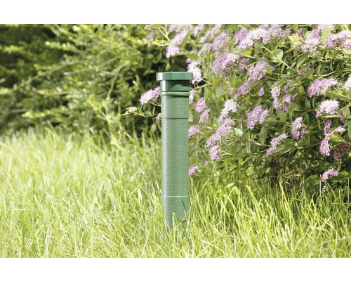 Grüne Köderstation im Garten gegen Wühlmäuse