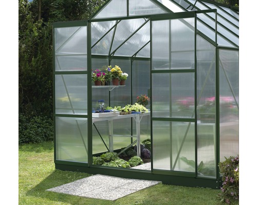 Serre avec plantes et légumes sur tables et étagères