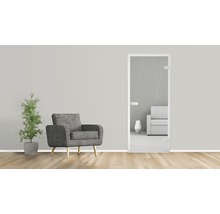 Exemple d''aménagement intérieur avec porte en verre, fauteuil et plante d''intérieur